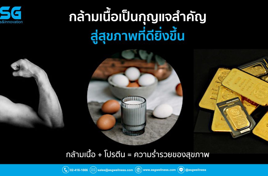 กล้ามเนื้อ เป็นกุญแจสำคัญสู่สุขภาพที่ดียิ่งขึ้น