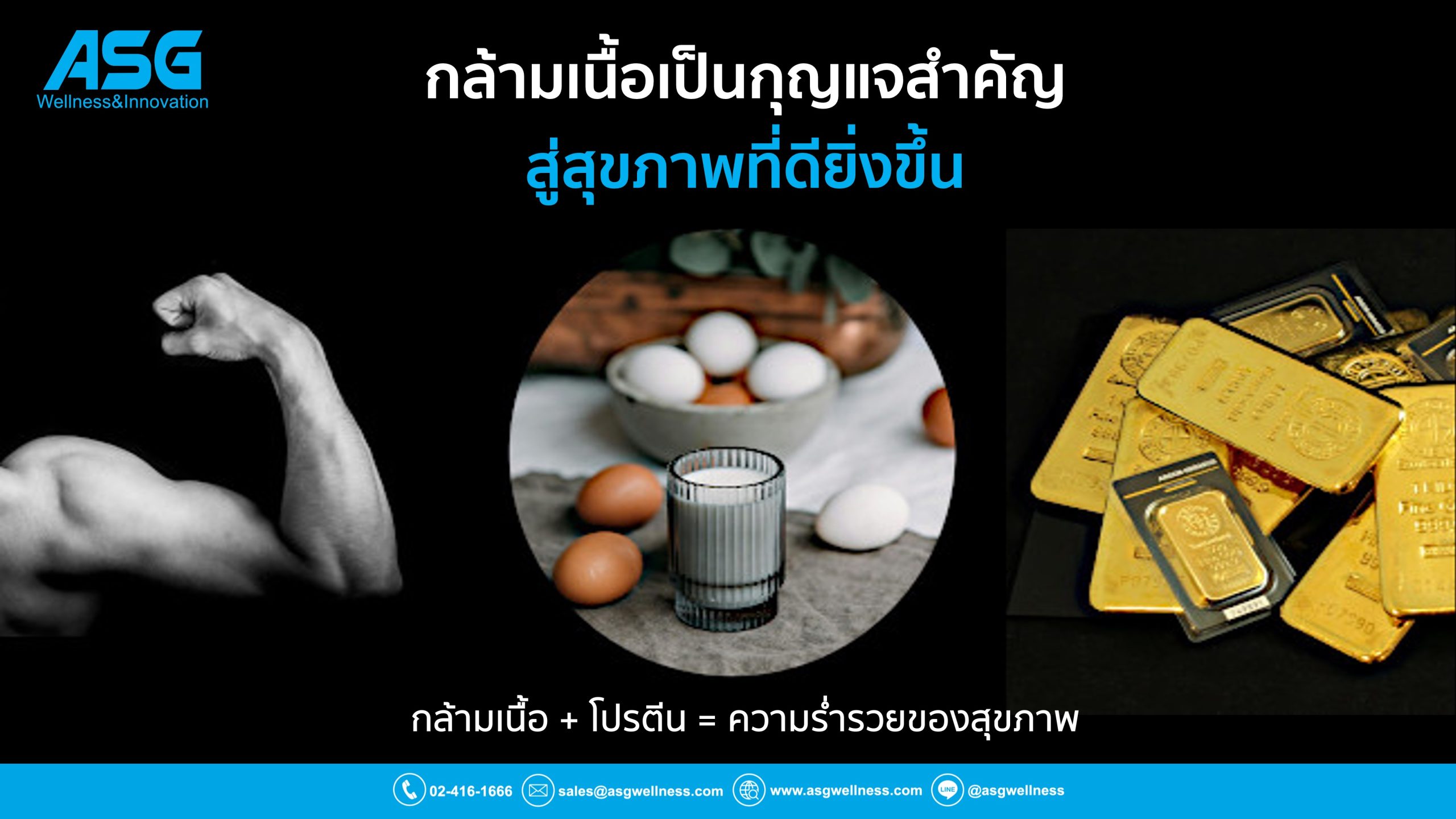 กล้ามเนื้อ เป็นกุญแจสำคัญสู่สุขภาพที่ดียิ่งขึ้น